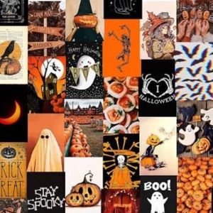 Meet your Posher, Hailey